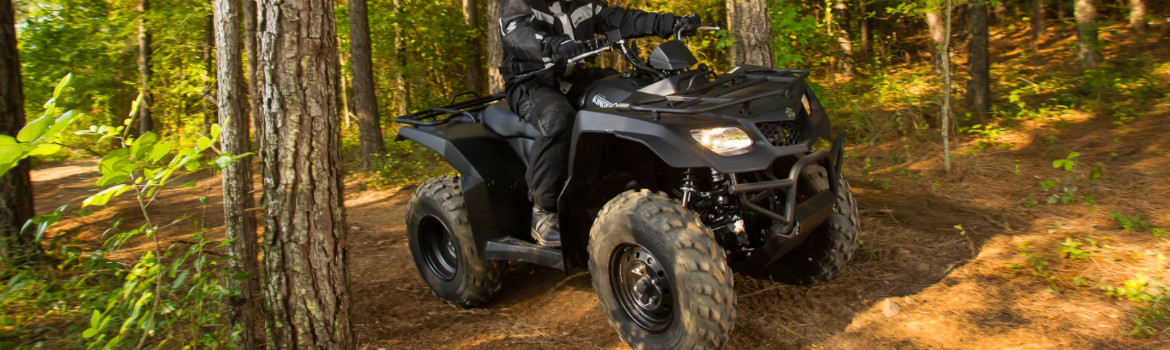 2018 Suzuki KingQuad 400ASi for sale in Lansford Kawasaki Suzuki Yamaha, Crossville, Tennessee